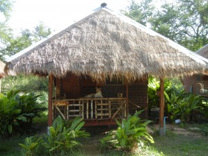 Crystal's volunteer bungalow at Elephant's World while volunteering for elephants in Thailand