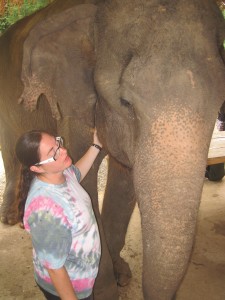 Crystal and Songkran, the oldest elephant at Elephant World.