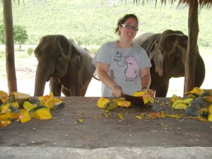 Crystal chopping pumpkin for the elephants to eat at Elephant's World while volunteering for elephants in Thailand