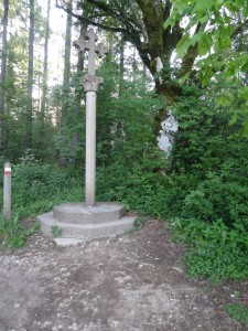 the trail leaving Roncesvalles