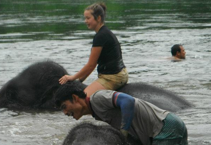 Bathing the elephants at Elephants World